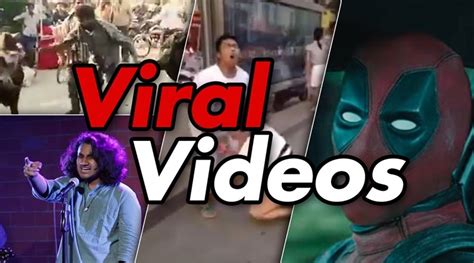 Viral Videos: Latest Trending Videos, HD Viral Videos, Today's .